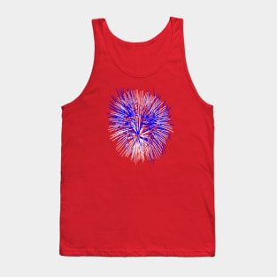 Light Up The Night Sky Colorful Fireworks Celebrations 8 Tank Top